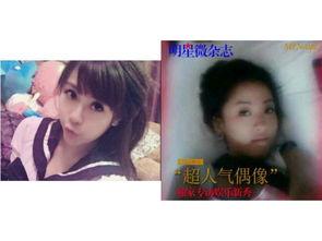 mc鸽宝资料,揭秘虚拟世界中的神秘宠物与游戏文化